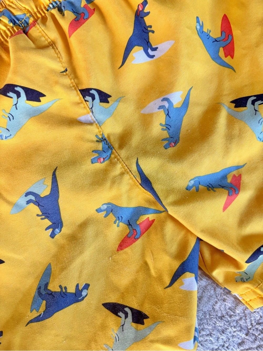 Cat & Jack 4T Dino swim trunks bundle